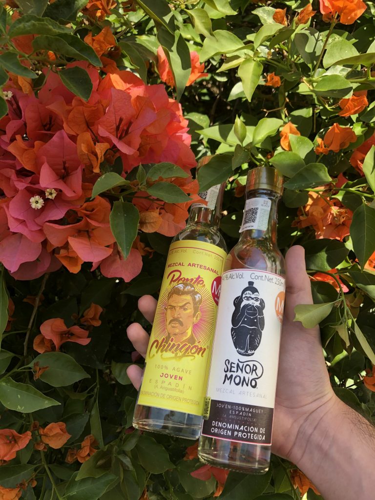 Mezcales HC